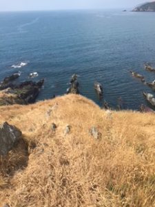 A picture containing outdoor, grass, sky, water

Description automatically generated